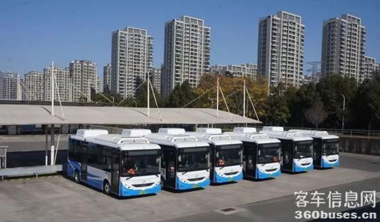 1768873872238759.jpg 1.jpg