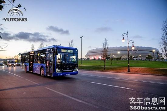 1768900017128633.jpg 3.jpg