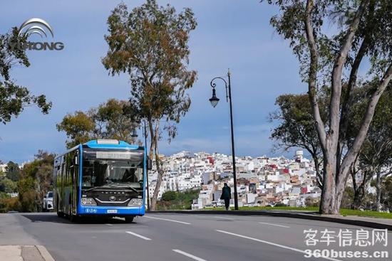 1768900070816306.jpg 10.jpg