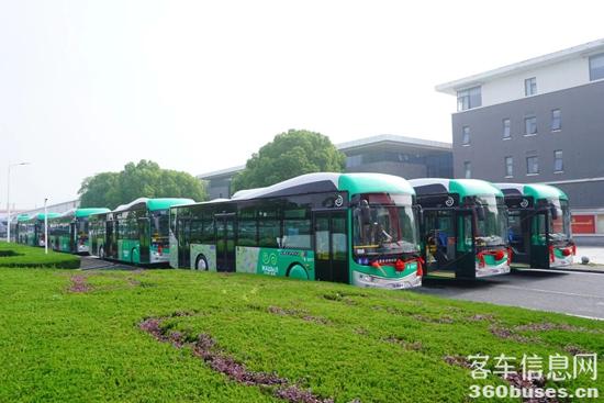 1769138892891784.jpg 13.jpg