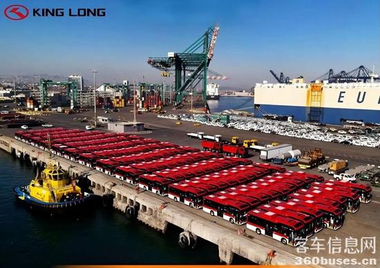 1769482486675916.jpg 5.jpg