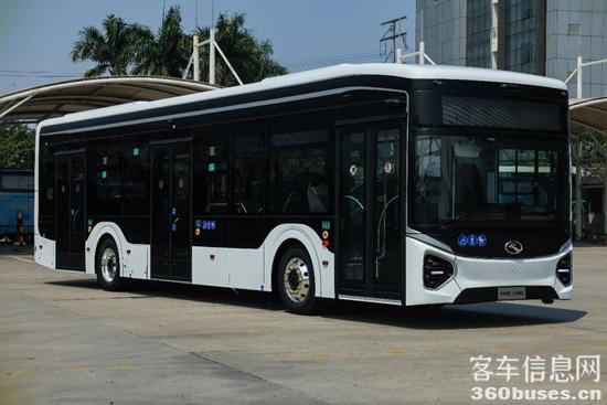 1769482530371257.jpg 10.jpg