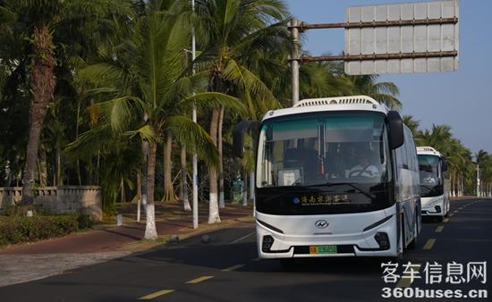 1769581509813998.jpg 6.jpg