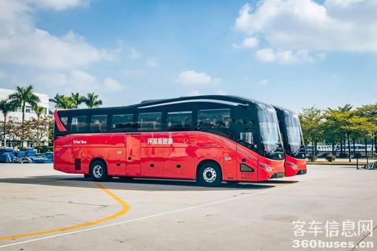 1770343085962967.jpg 3.jpg