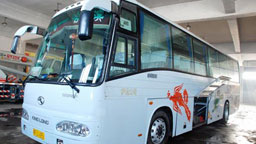 180�f(w��n)����o(w��)���� ��(chu��ng)���܇(ch��)Ʒ�|(zh��)��(bi��o)�U